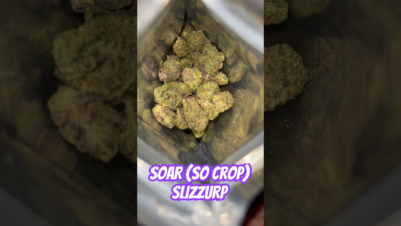SOAR - SLIZZURP #southerncrop #medicine #mississippi #medicalcannabis