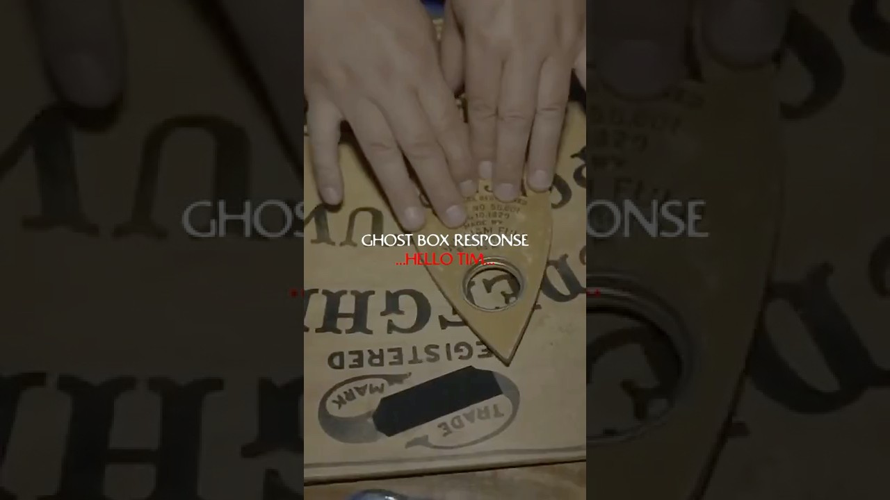 Мы задали Зозо вопрос&hellip; Вот ответ.
