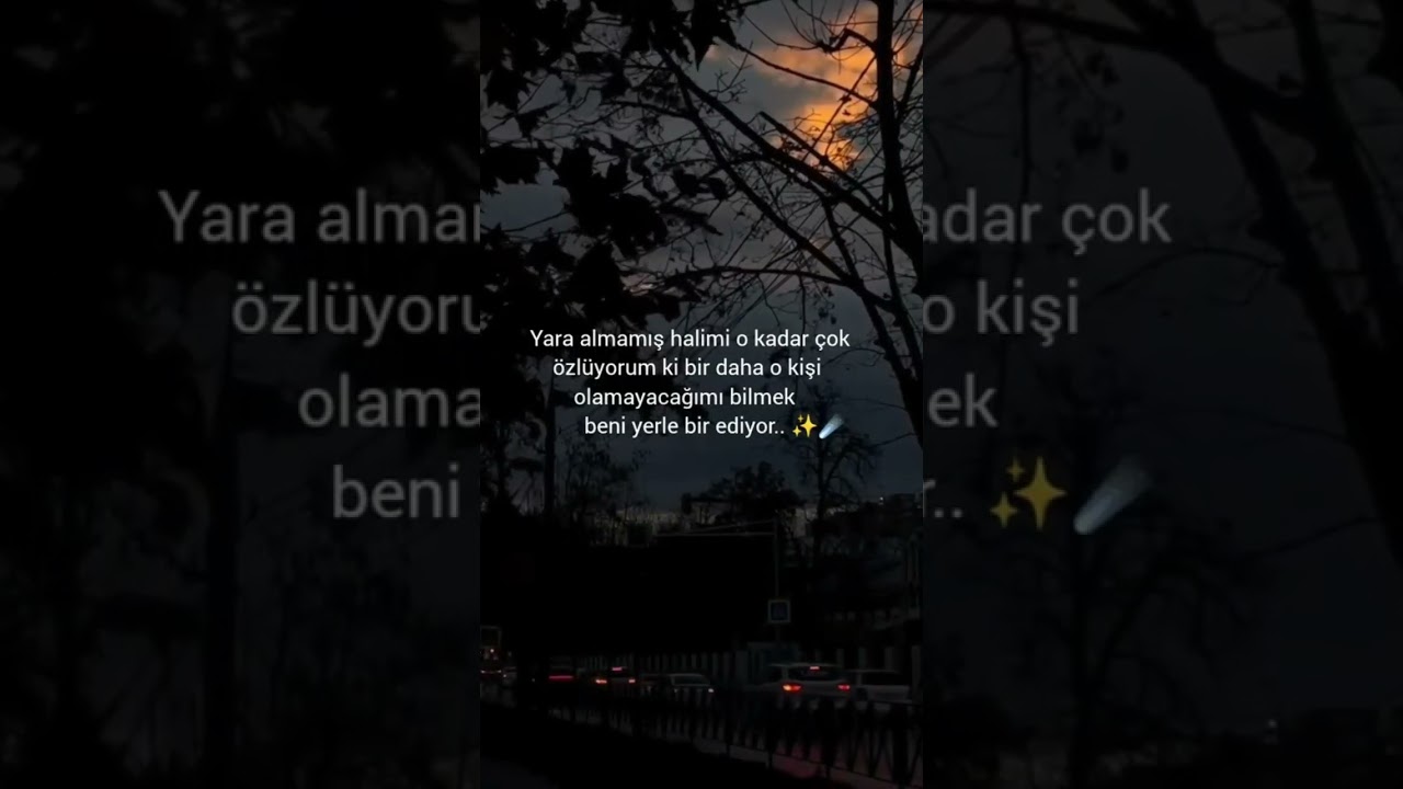 💔🖤🥀 T&uuml;kendik.🥺