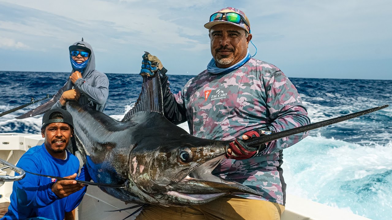 Blue Marlin fishing in Cabo San Lucas
