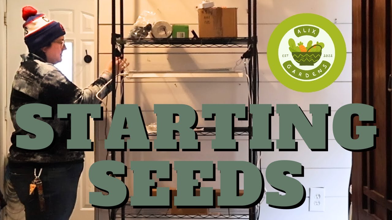Lights, Seeds, Action!