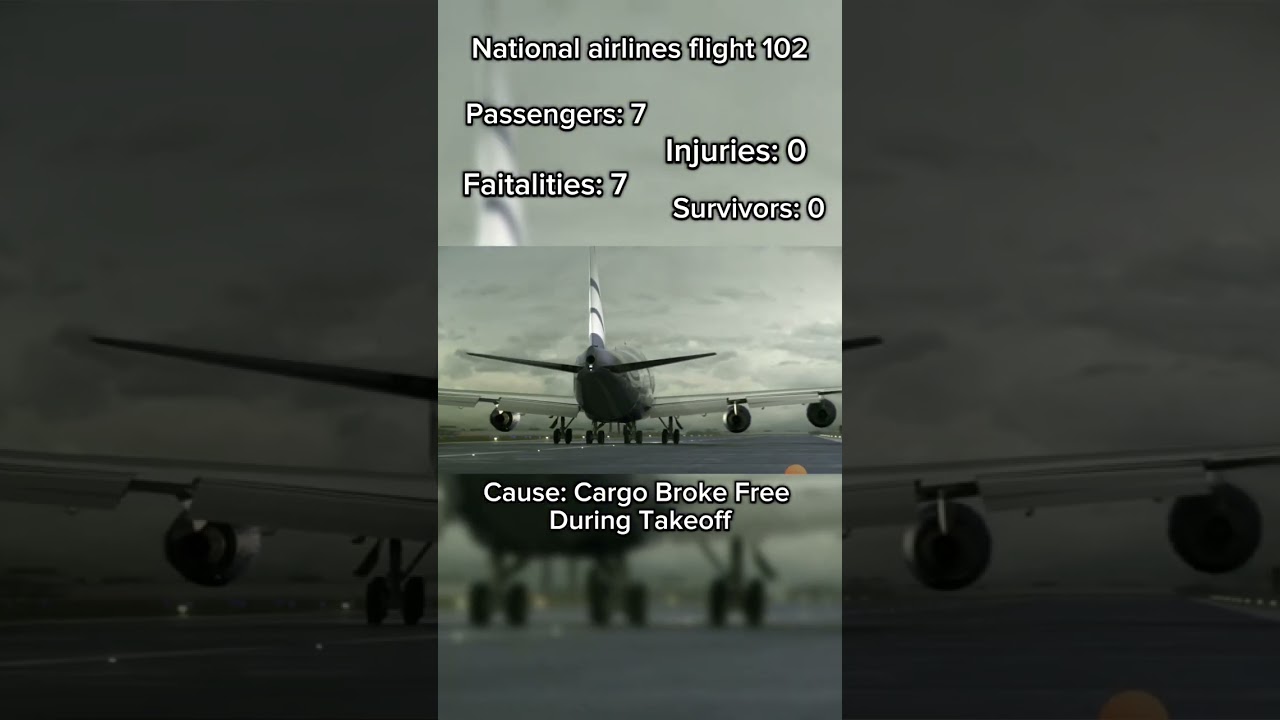 National Airlines Flight 102 Crash animation