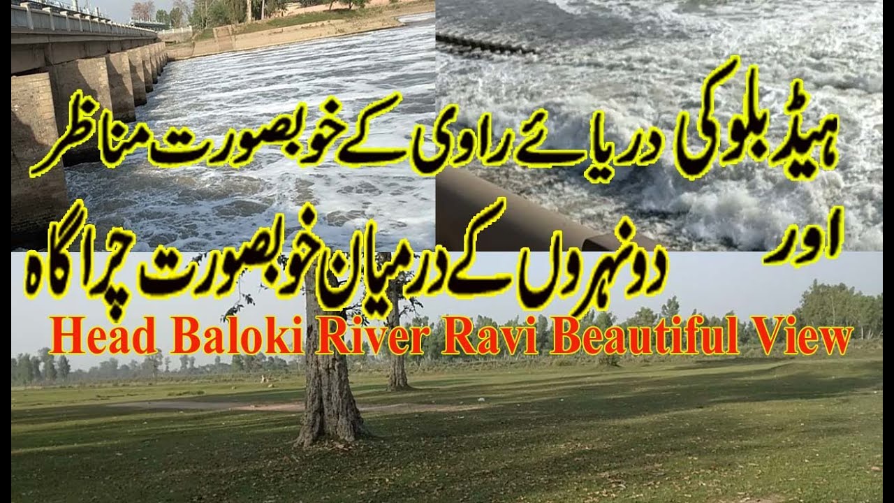Head Baloki River Ravi Beautiful View | Beautiful Place on River Ravi Head Baloki Kasur