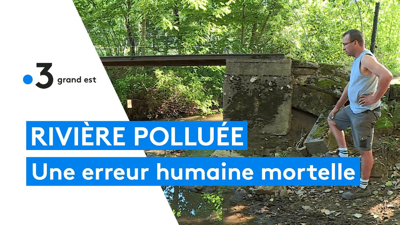 Pollution d'une rivière suite à une erreur humaine sur un méthaniseur dans les Ardennes