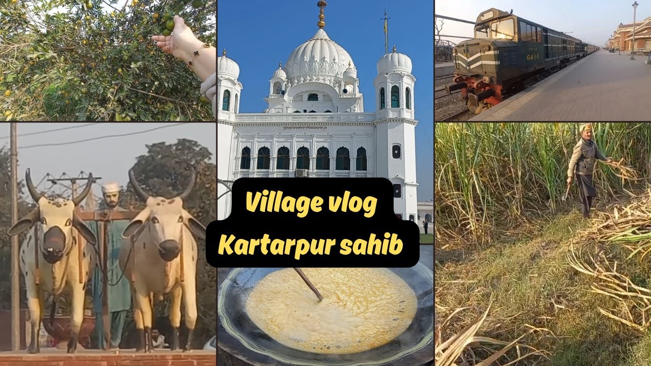 Village vlog || Kartarpur corridor Narowal || Life with Tahira
