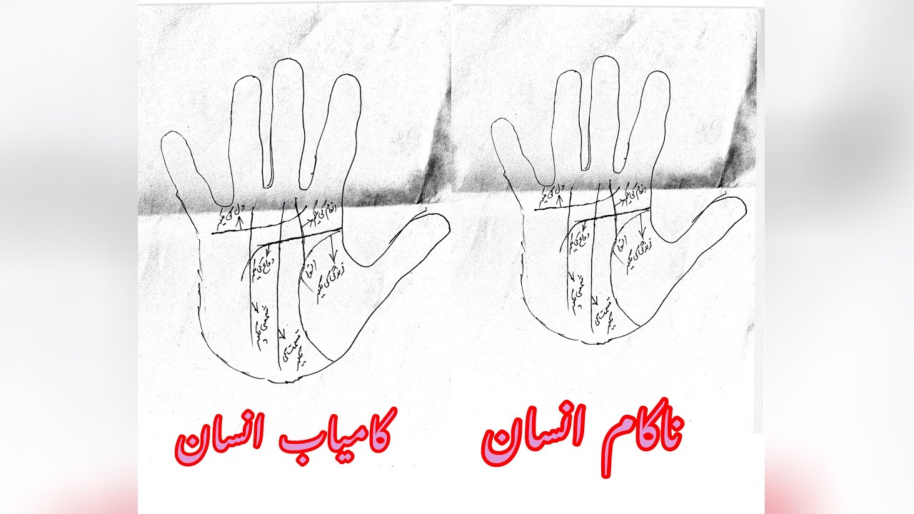 Hand Lines Details Success And Unsuccessful. ہاتھ کی لکیریں اور کامیابی اورناکامی