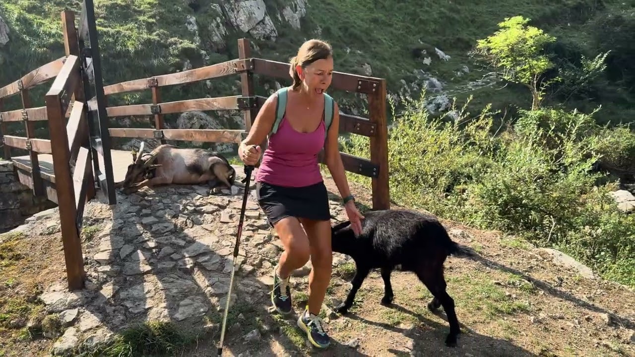 Subida a Bulnes por la Canal del Tejo