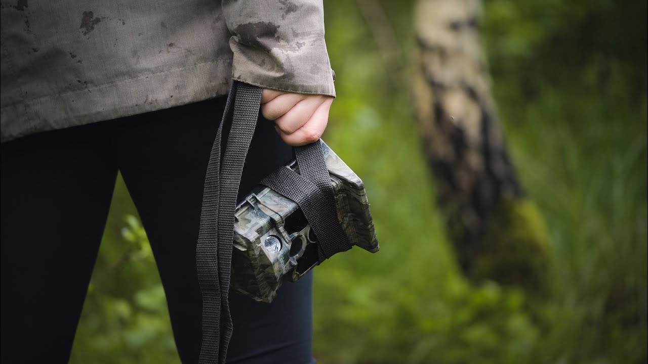 Was passiert im Wald, wenn kein Mensch da ist? - Teil II