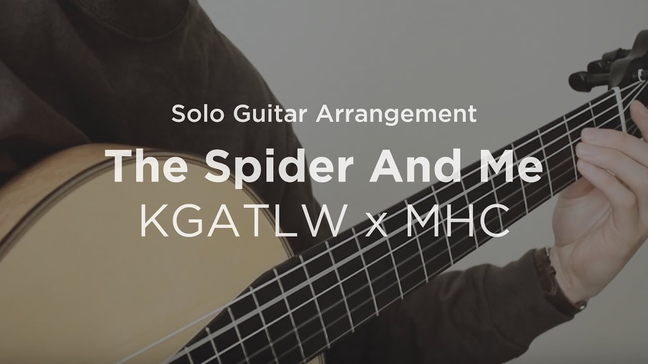 'The Spider and Me' by King Gizzard and the Lizard Wizard & Mild High Club | Guitar cover