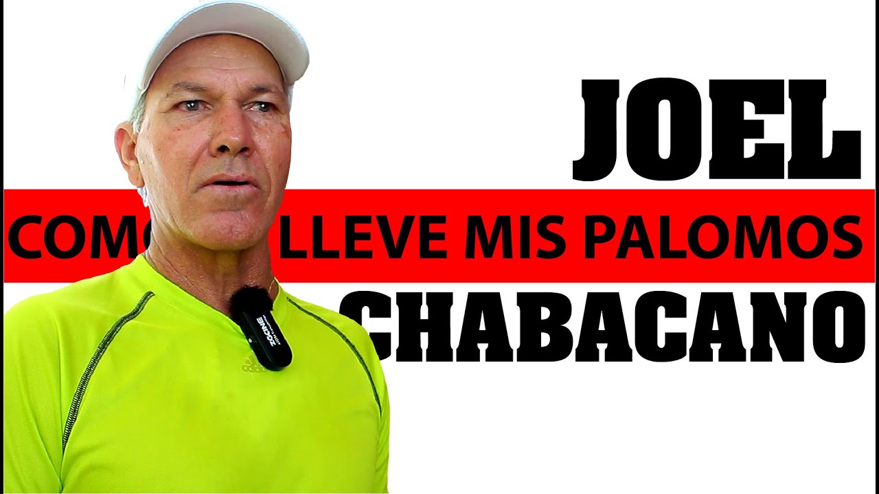 PALOMAR JOEL CHABACANO. Mis Experiencias, Mis Palomas. Parte 3