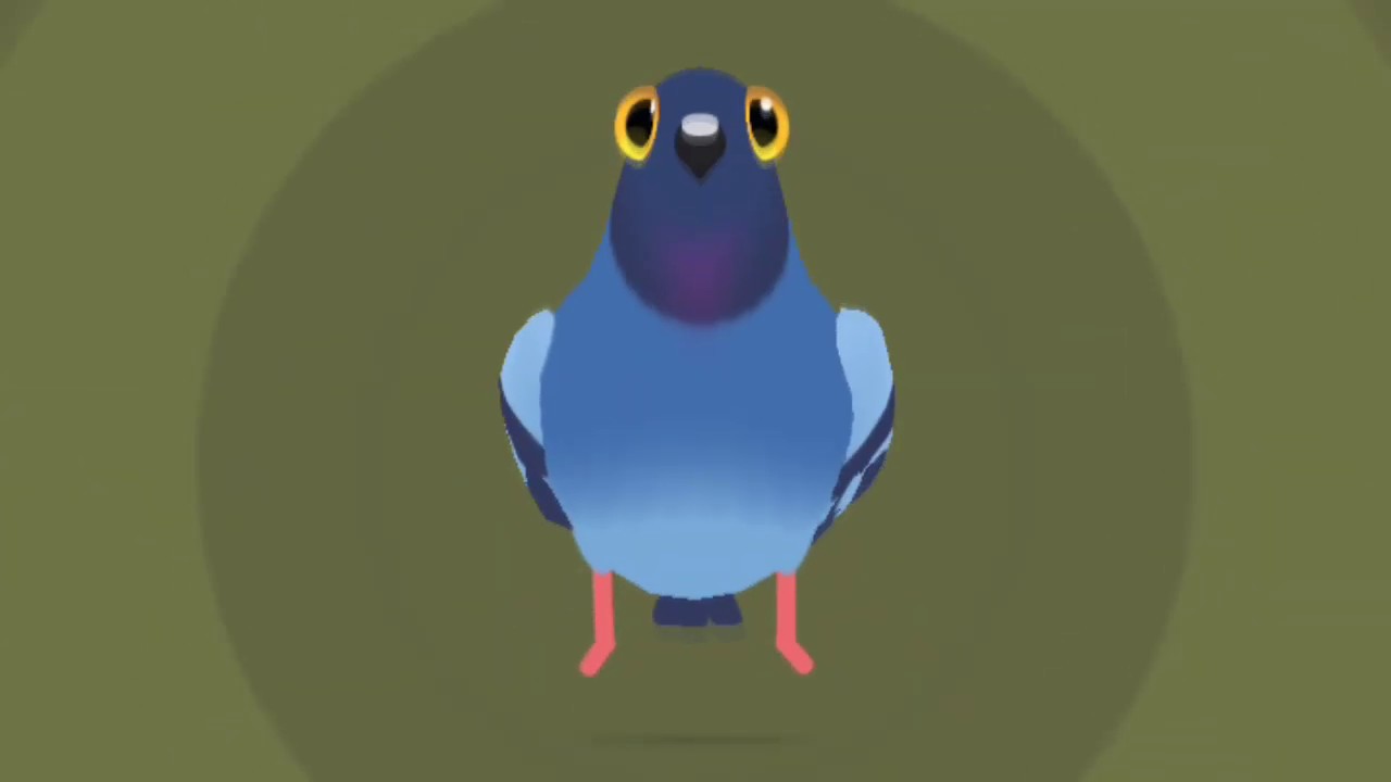 Pigeon Pop - Pigeon Dance (all moves)