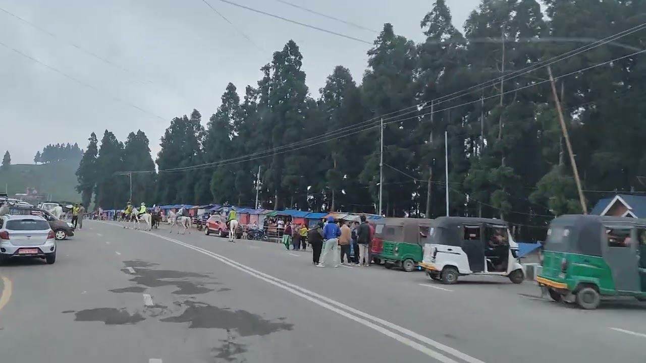 Kanyam Ilam Travel : Tourist Destination in Nepal