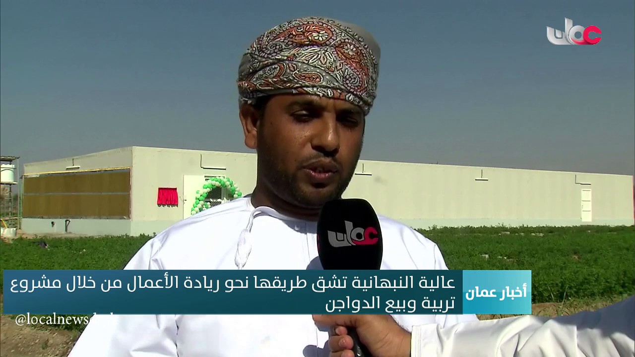 عالية النبهانية تشق طريقها نحو ريادة الأعمال من خلال مشروع تربية وبيع الدواجن