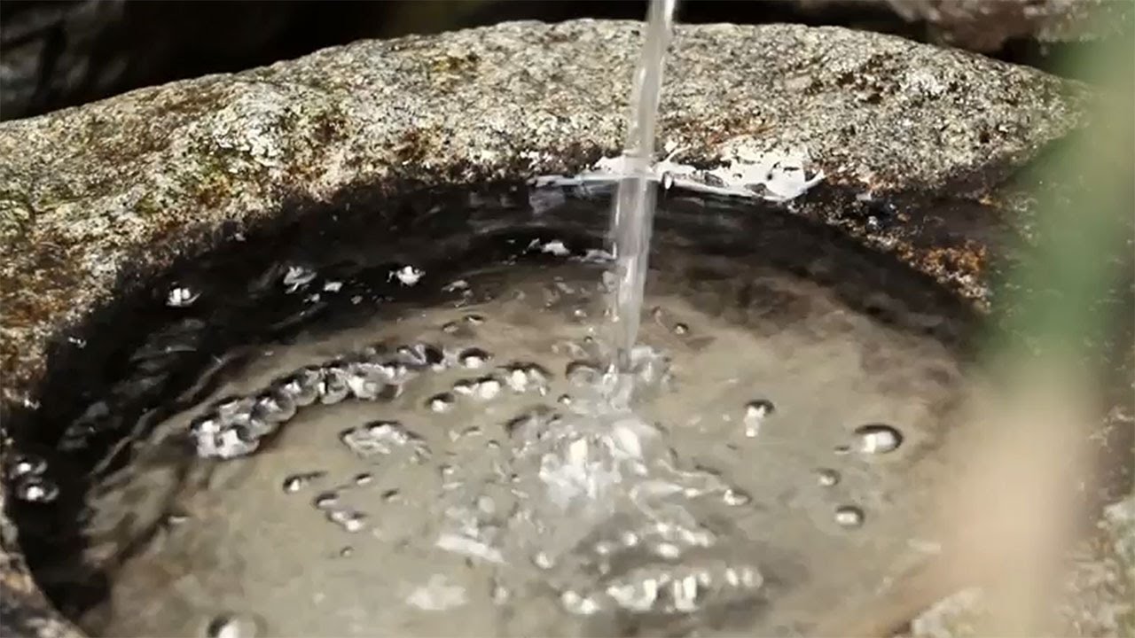 Sake Wonderland Fukushima - long ver. -