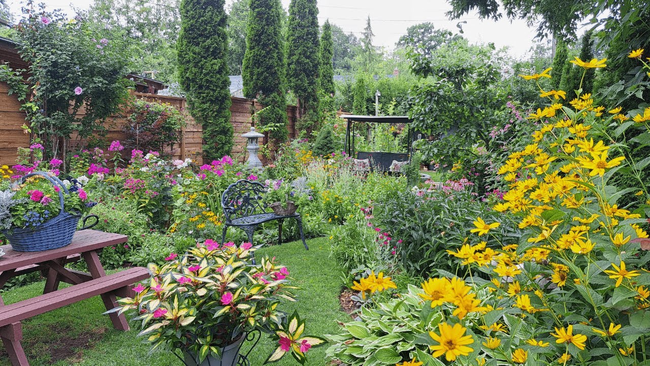 Small Space, City Gardening | Perennial Garden Tour