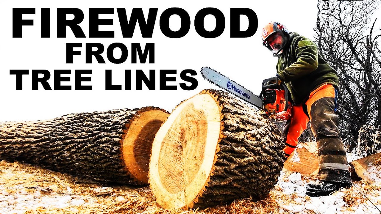 FIREWOOD TREE LINE LOGGING ON A FARM!
