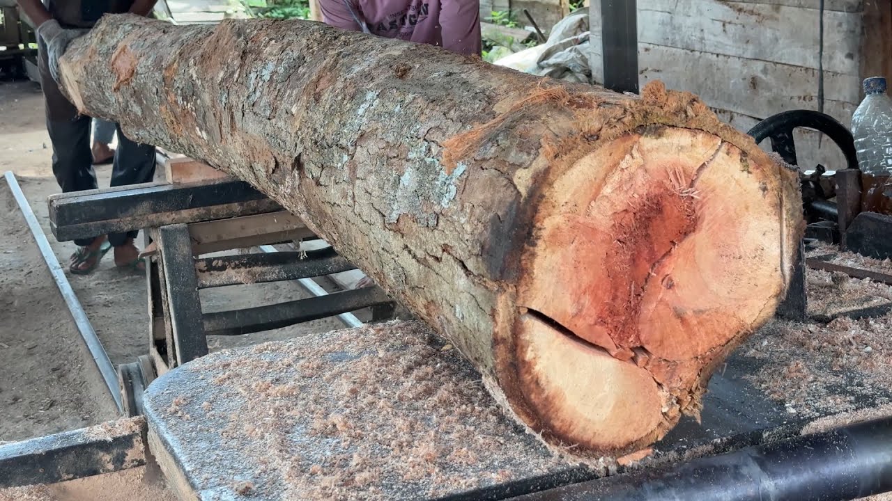 Basic Guide to Using a Sawmill for 2x20 Wood