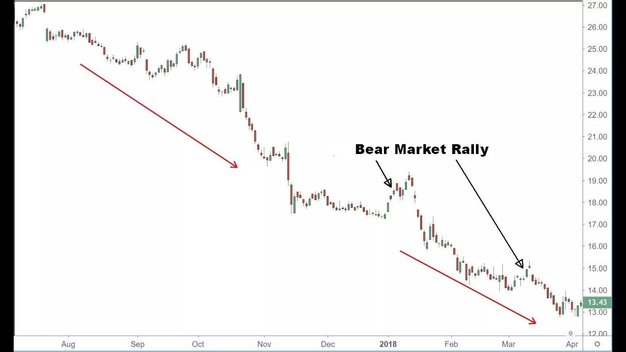 Bear Market Rally | English Lesson