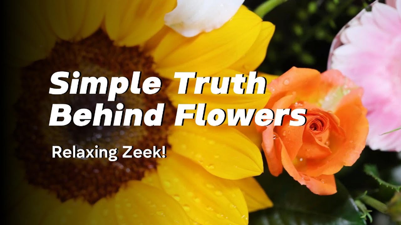 A Beautiful World of Flowers 🌸 | Relaxing Journey Through Nature’s Blooms