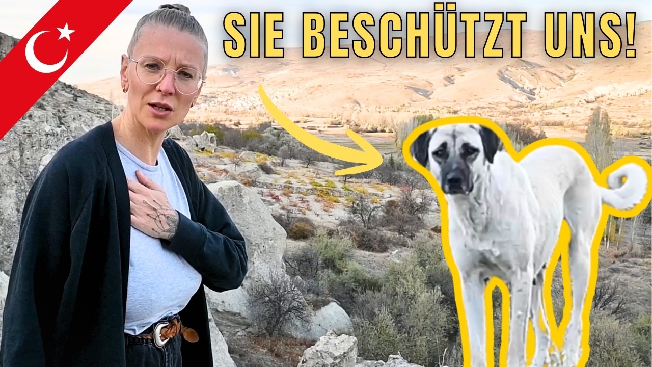 SIE BESCHÜTZT UNS! TÜRKEI VANLIFE im GEHEIMEN MOOS VALLEY - Ein Tag mit DailyExplorer Reise VLOG 115