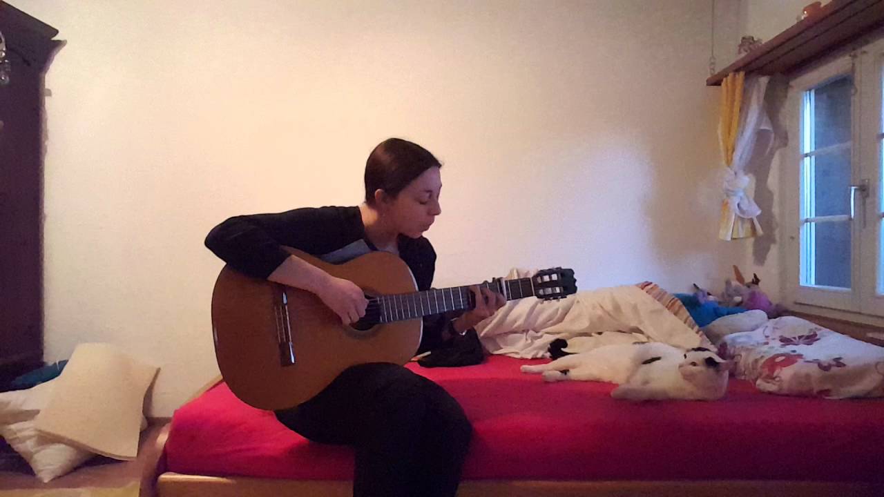Totoro and my Cat
