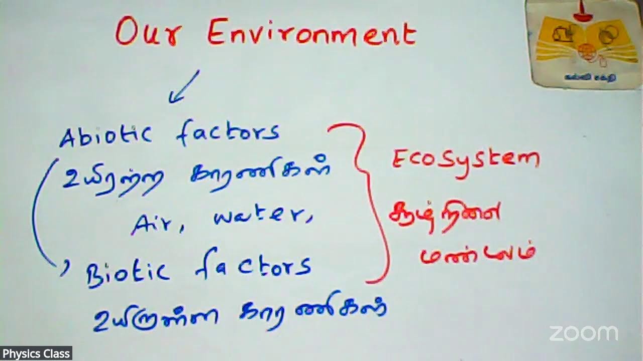 KSI-(5th.6th,7th,8th,9th) Class - 5:00PM - 7:00PM