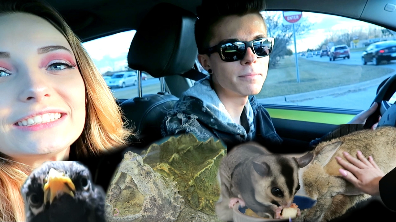 Meeting My Dream Pets! *Sugar Gliders, Giant Rabbits, & more!!!*