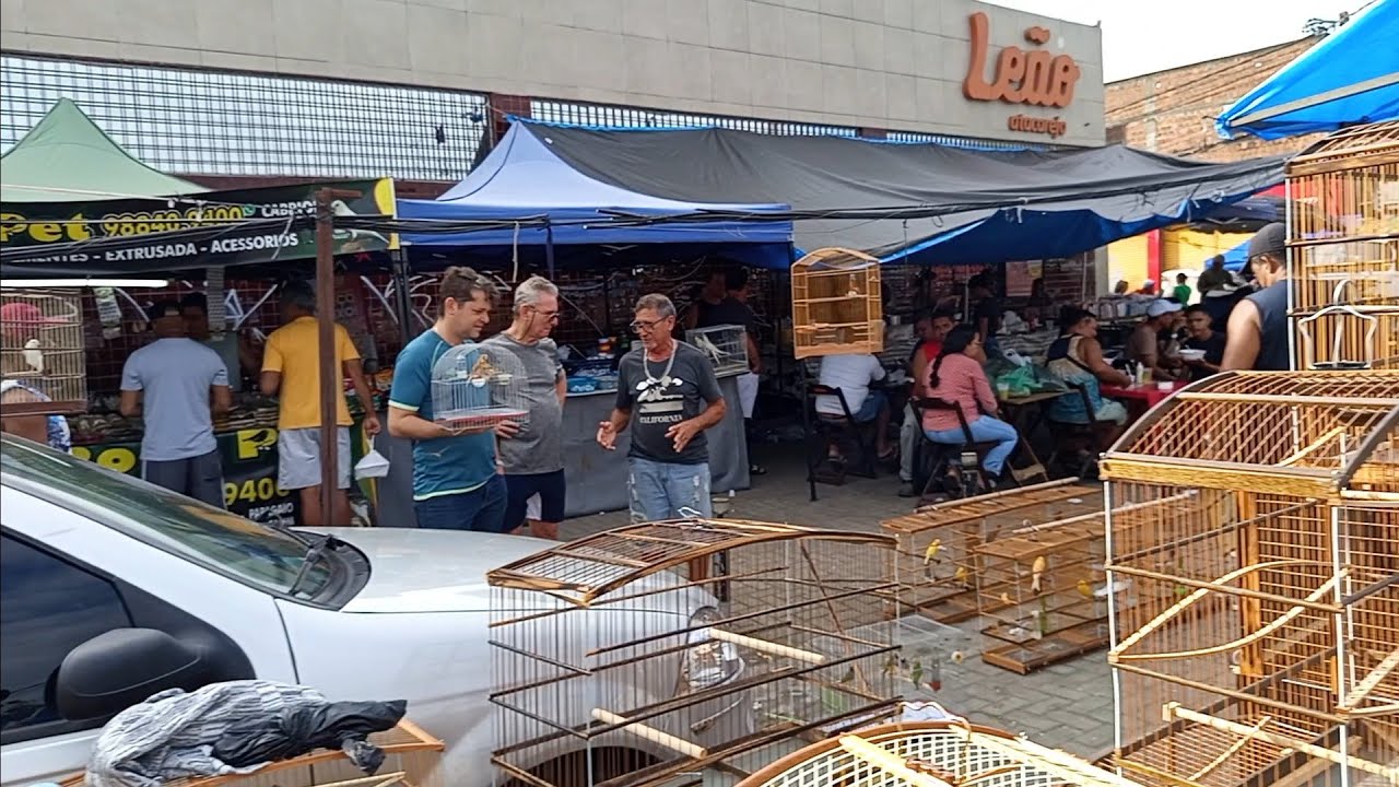 ( PARTE 2 )GAIOLAS E PÁSSAROS EXÓTICOS NA PROMOÇÃO, FEIRA DO CORDEIRO RECIFE/PE.