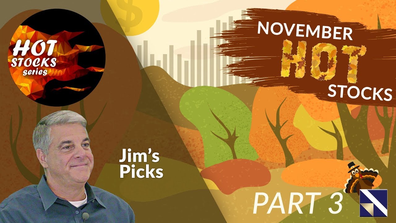 Hot Stocks for the Holiday Season (Jim's Picks) | VectorVest
