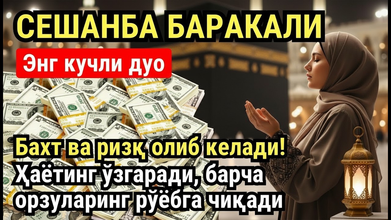 Эң мыкты уйку дарысы: Тынчсызданган жүрөктөрдү сооротуучу Мүлк сүрөөсү