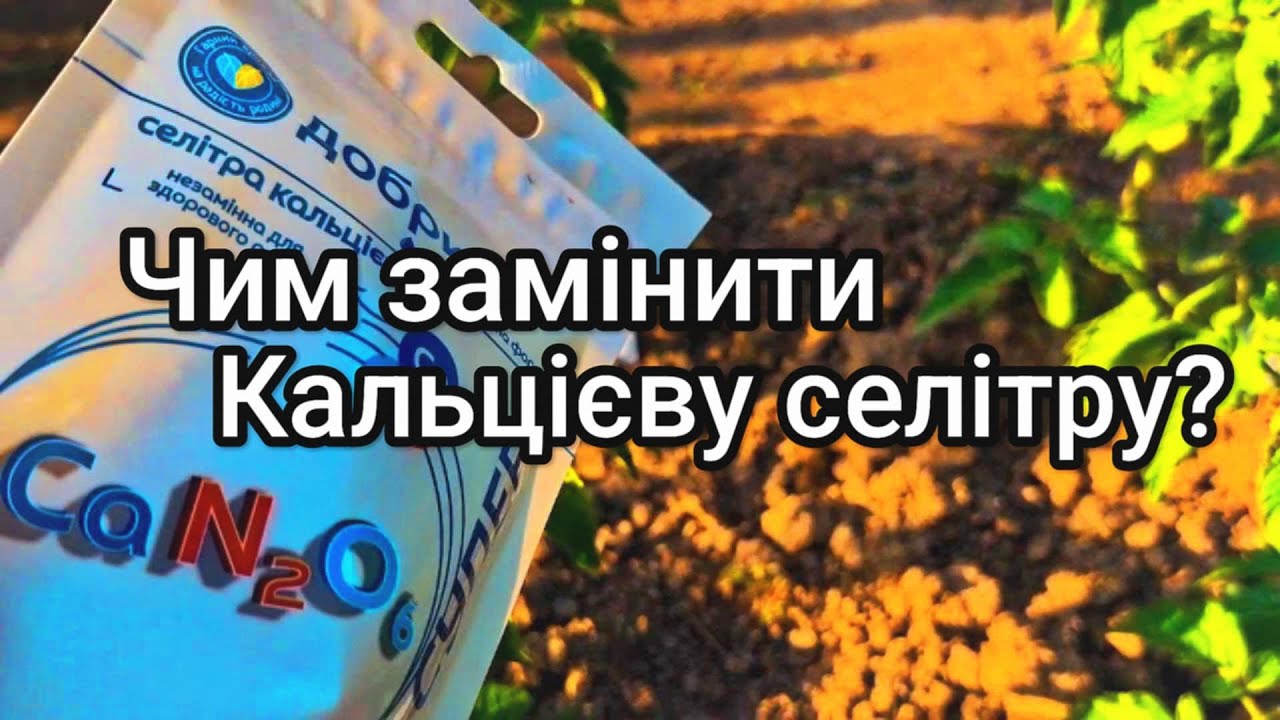 Варіанти підживлення Кальцієм помідорів