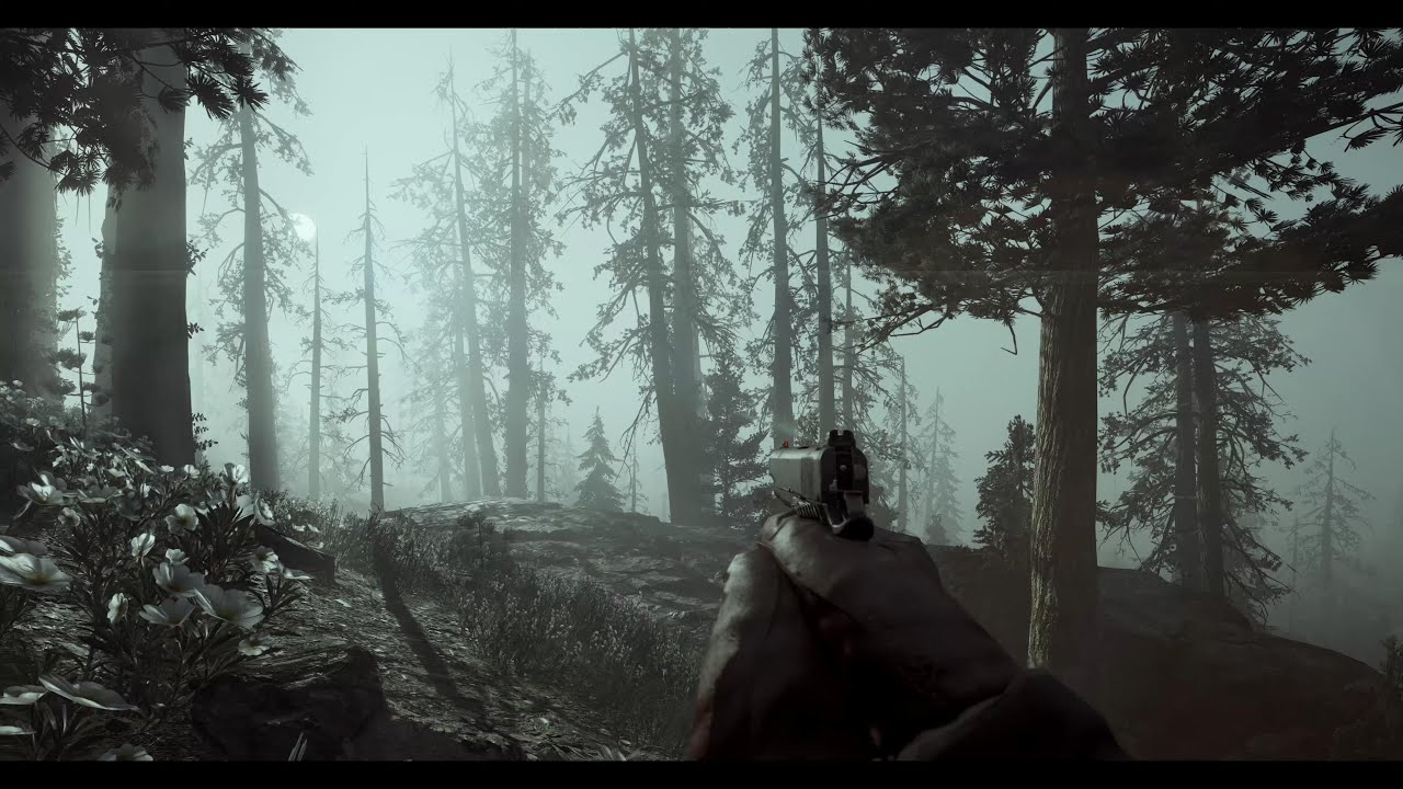 POV Realistic Gameplay? No way its Far Cry New Dawn!