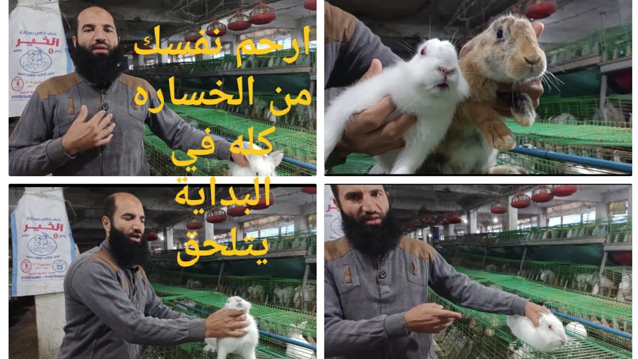 هتلحق الأرنب من أول نظره ببساطه هخليك تفرق بين الالتهاب الرئوي والبرد العادي وتعالج صح (206)