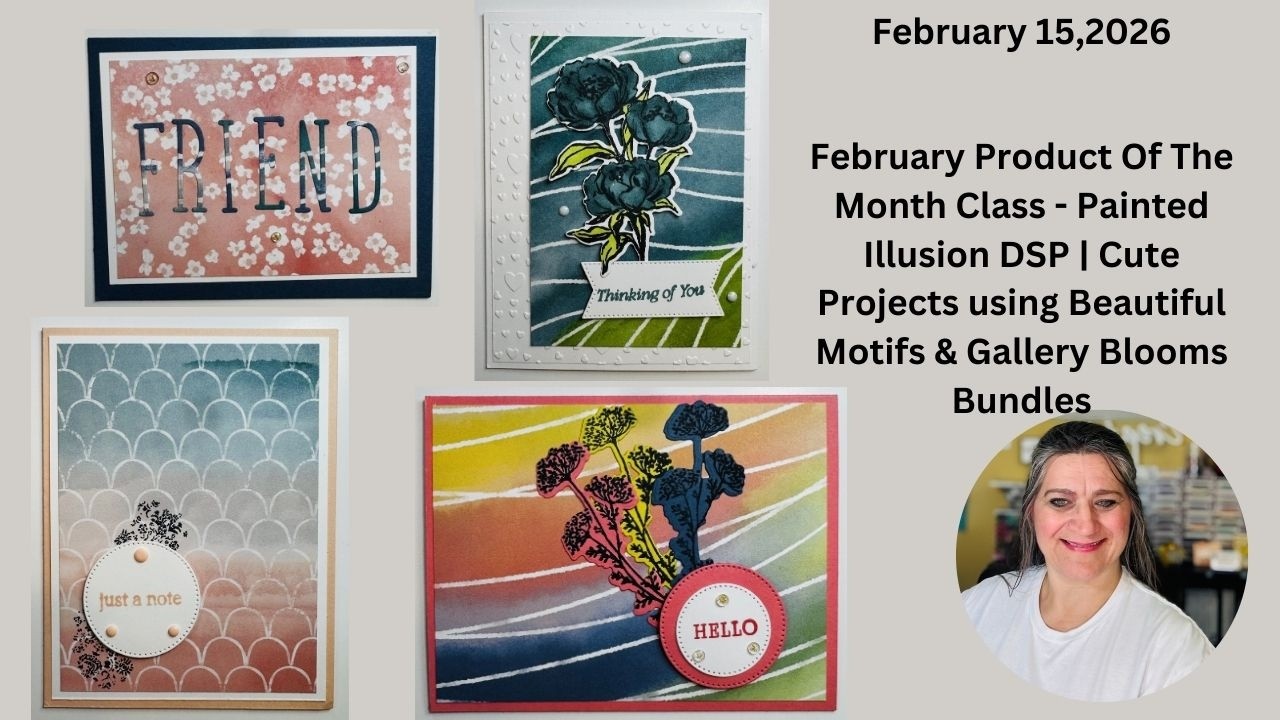 Продукт месяца за февраль – Painted Illusions DSP: Воскресная прямая трансляция демонстрации.