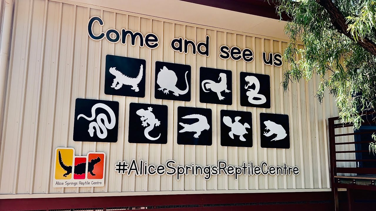 Alice Springs Reptile Centre 2022