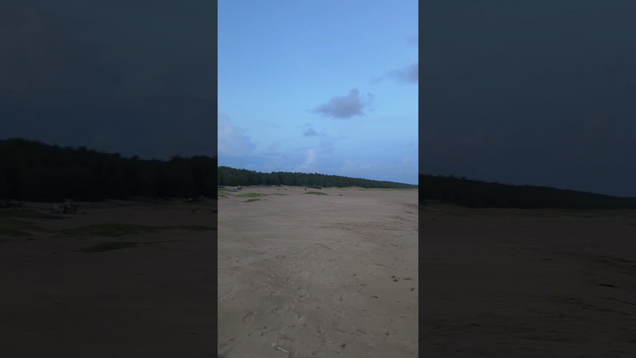 #love #nature #sound #beach #clean