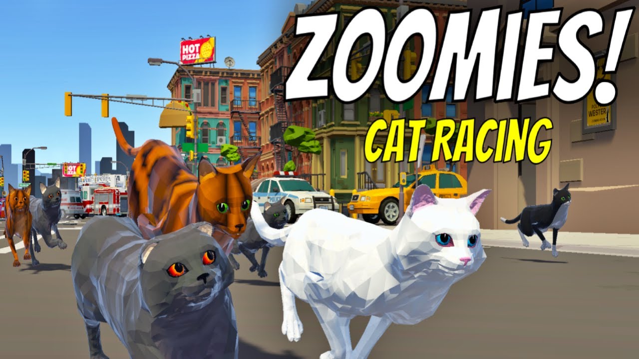 Zoomies! Cat Racing 😺| Gameplay