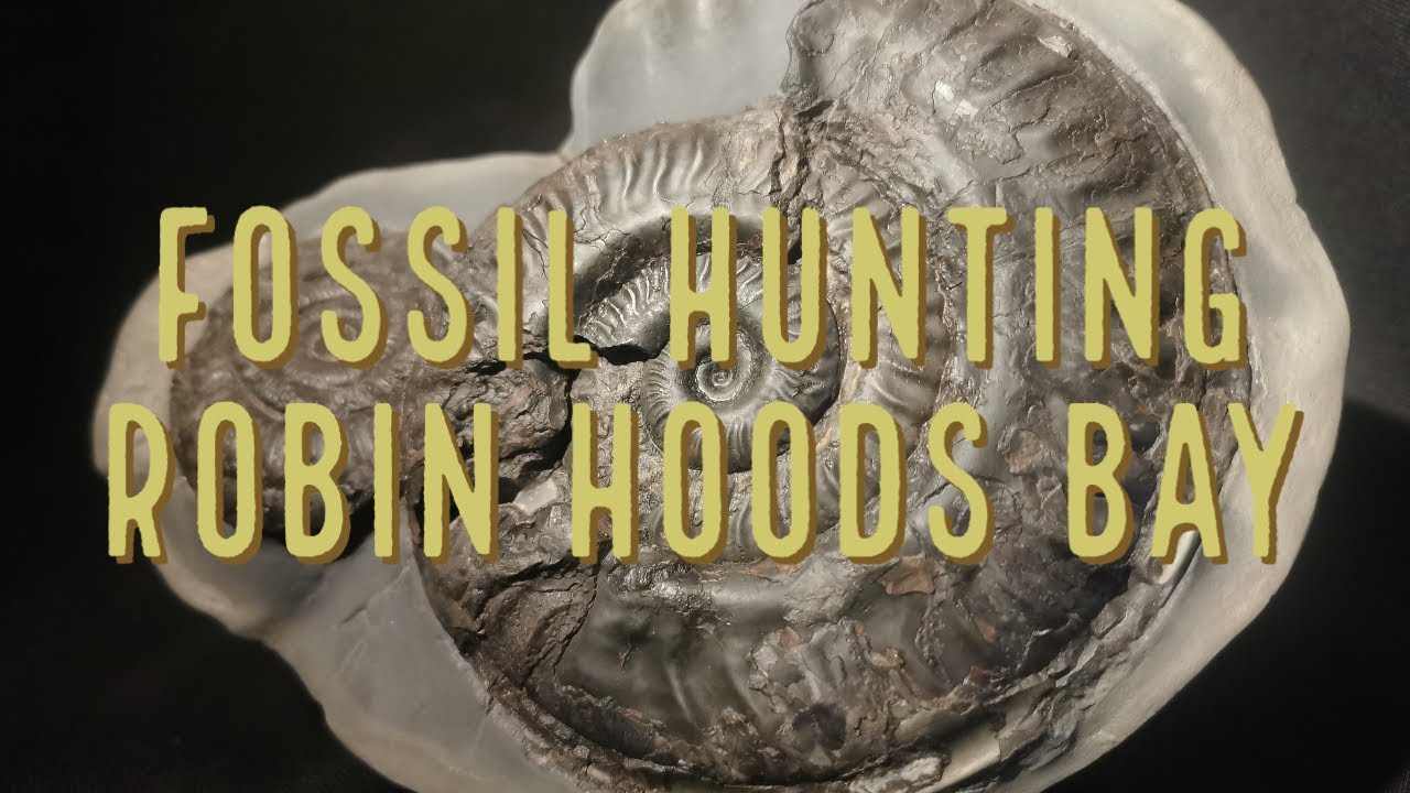 Fossil hunting England - robin hoods bay