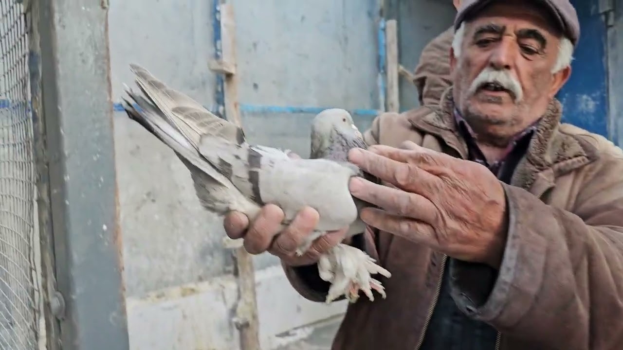 kara mustafa dayı 3. bölüm. mezatımuz cuma 21 00 da dotlae