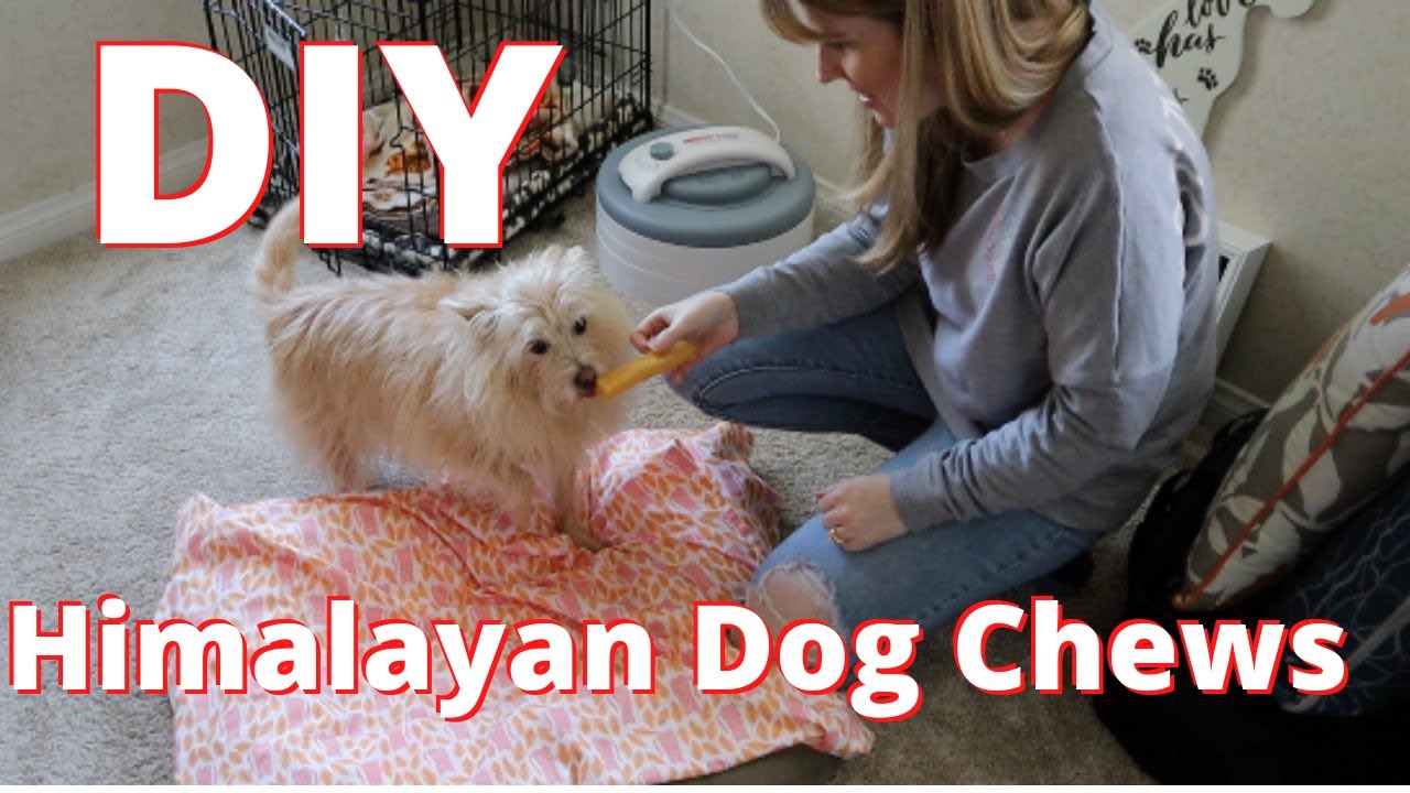 DIY Himalayan Dog Chews | 3 Ingredient Dog Treats | Planet Paws Recipe Rodney Habib & Karen Becker