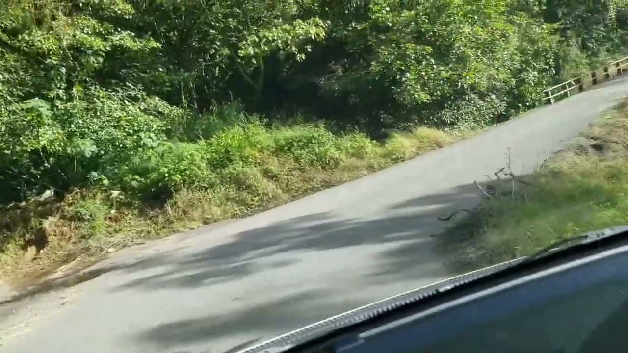 Santa Cruz de Turrialba. Costa Rica