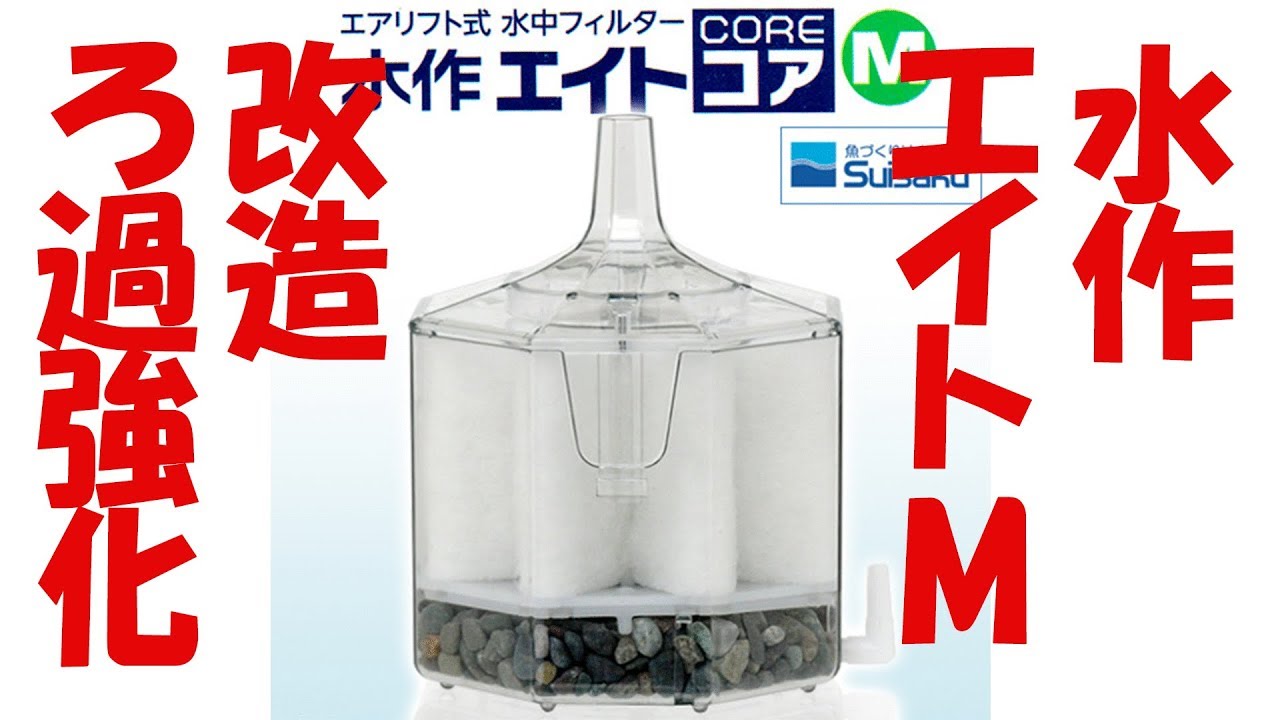 【アクアリウム・フィルター】水作エイトM 改造　ろ過強化するよ♪