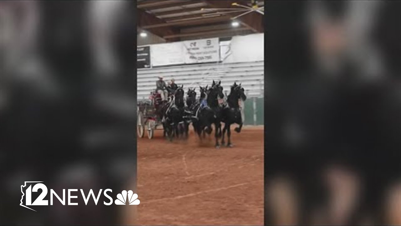 Празднование достижений рабочих лошадей в долине на турнире Western States Classic.