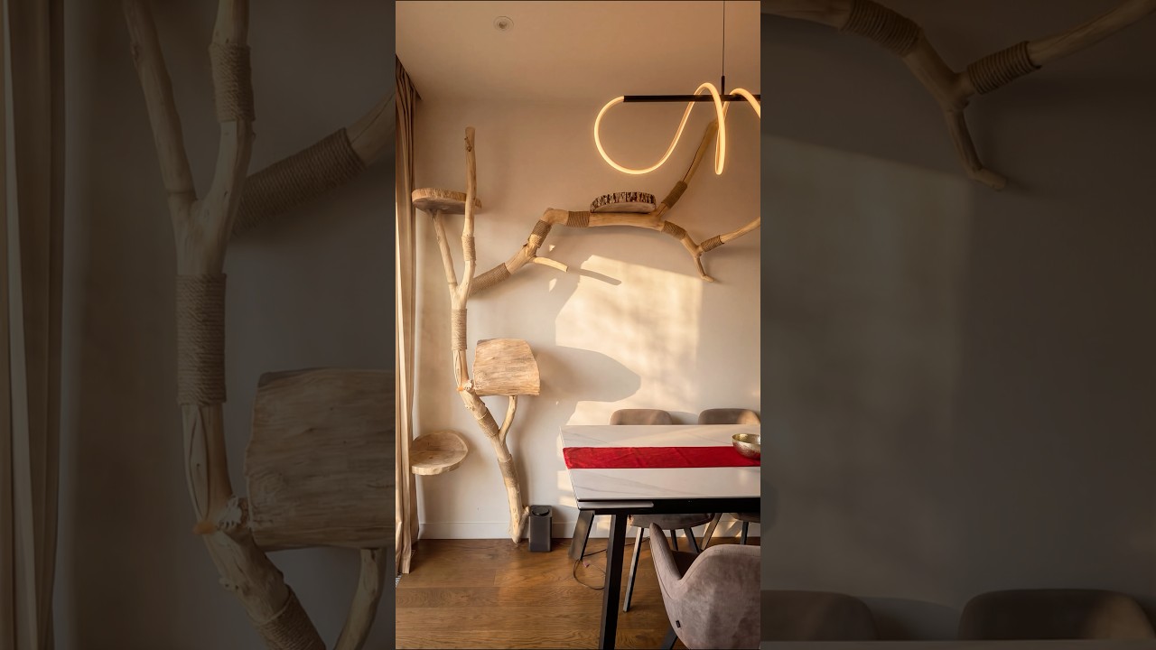 КОТОДРОМ ДЛЯ БРИ - КОТЕНОК КУРИЛЬСКОГО БОБТЕЙЛА ОЦЕНИЛ РАБОТУ. Телеграм RaDeco _home #кот #кошка
