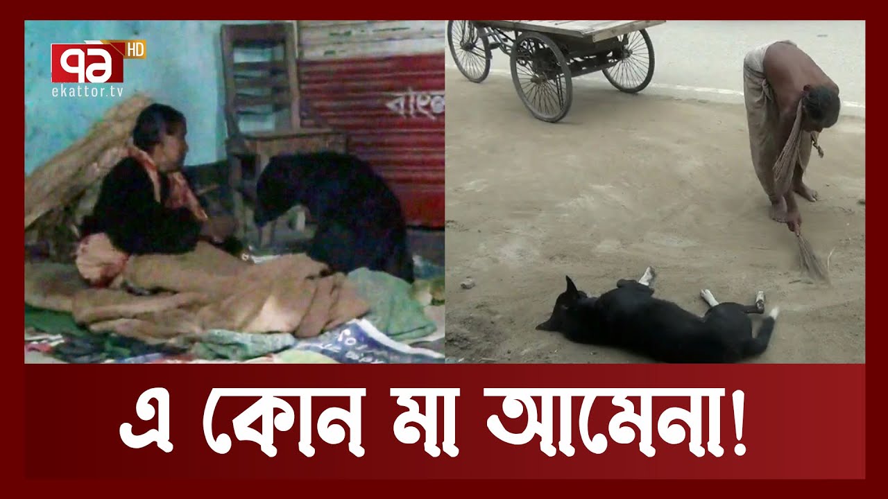 সন্তানতুল্য কুকুর নিয়ে পরিষ্কার করছেন পৃথিবীর জঞ্জাল | Humane Story | Ekattor TV
