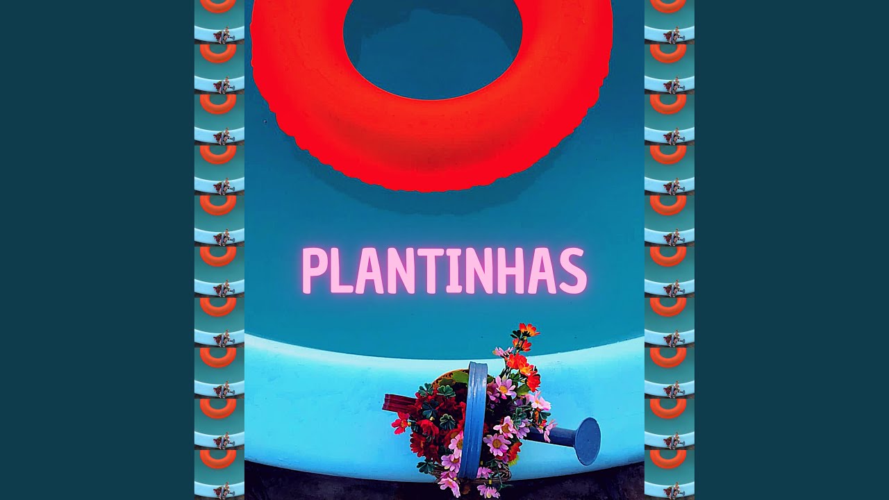 Plantinhas