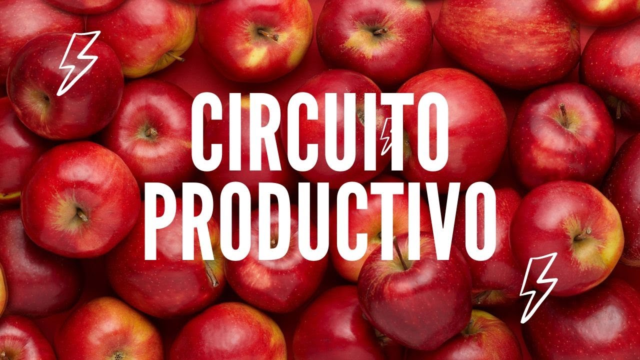 🍎¡Circuito Productivo Manzanas y Peras!🍐
