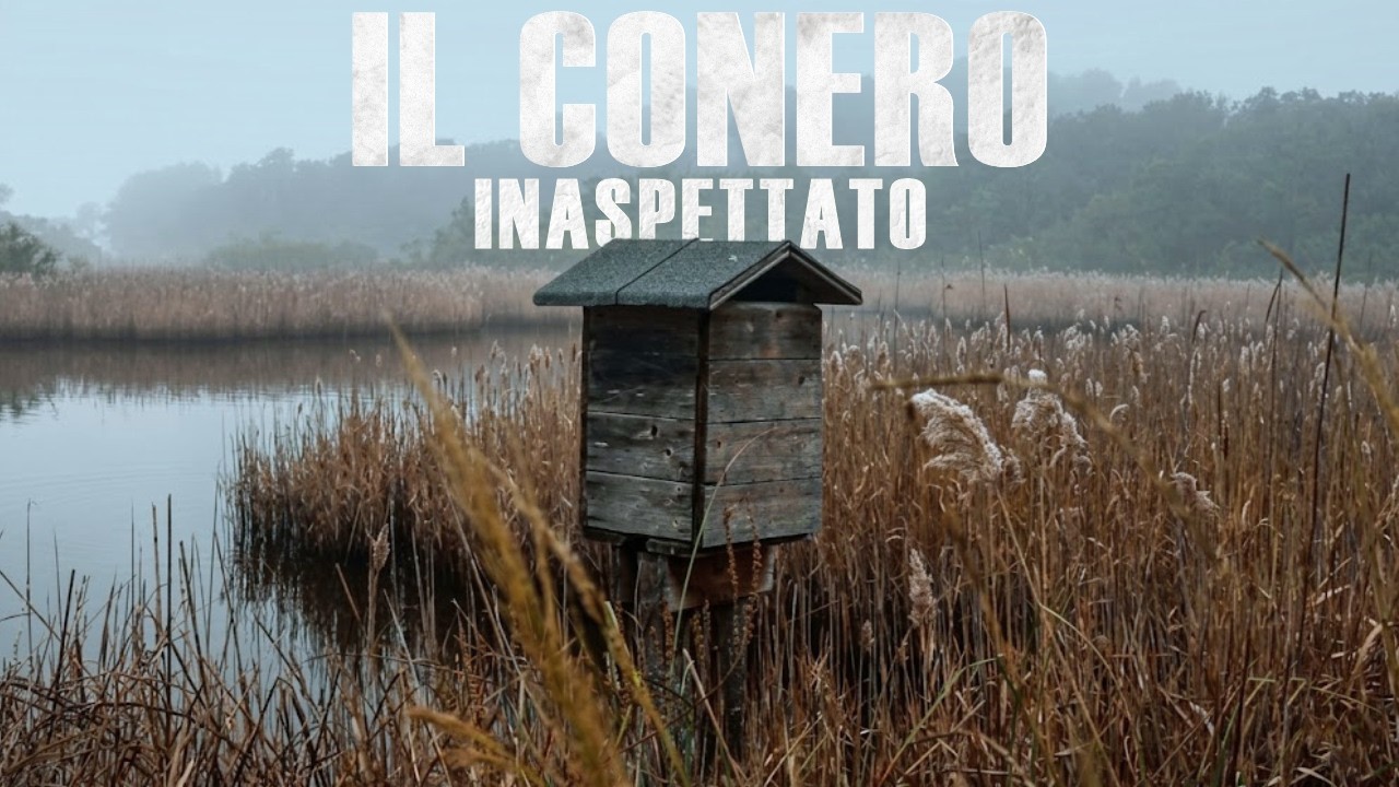 Il PARCO del CONERO in INVERNO: ecco com'è andata