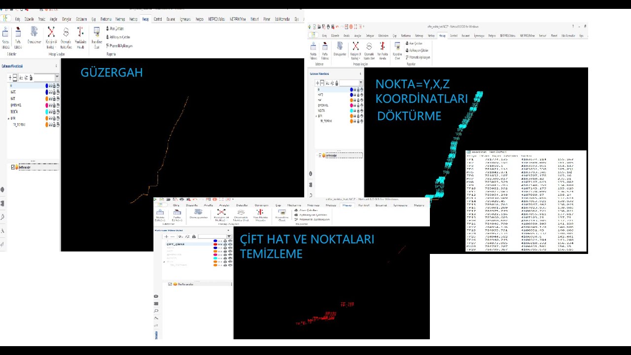 NETCAD DA NOKTALRI İÇERİ VEYA DIŞARI AKTARMA VE  ÇİFT NOKTA YADA HATLARI TEMİZLEME