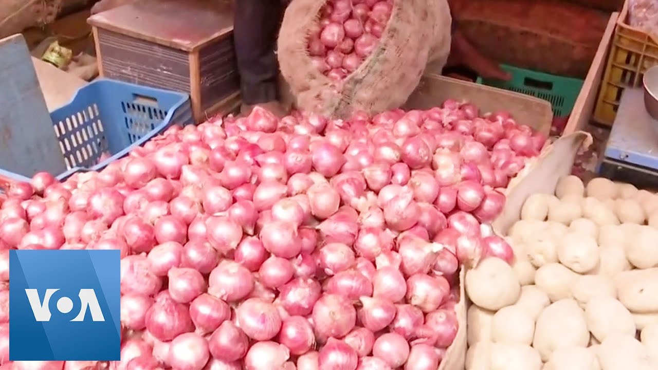 Rising Onion Prices Worry Indians, Buffer Stock to Be Over By November